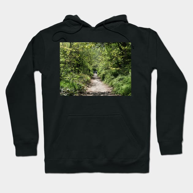 Beautiful young family on a walk in autumn fores Hoodie by fantastic-designs